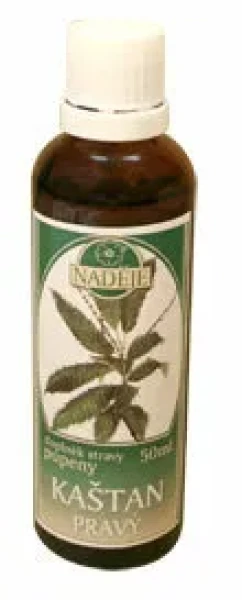 Kaštan pravý (P22)