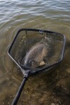 Giants fishing Plovoucí podběrák s pogumovanou síťkou Luxury X-large Float 80x70cm,Giants fishing Plovoucí podběrák s pogumovanou síťkou Luxury X-larg