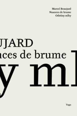 Odstíny mlhy - Marcel Beaujard - e-kniha