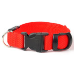Small svítící obojek pro psy | 28 - 43 cm Barva: Oranžová, Obvod krku: 33 - 43 cm