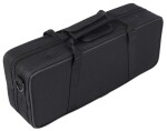 Bacio Instruments ECL-100