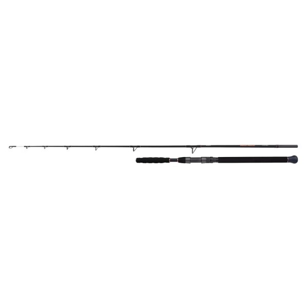 Shimano Prut Beastmaster AX Catfish Spinning Vertical 1,85m 200g