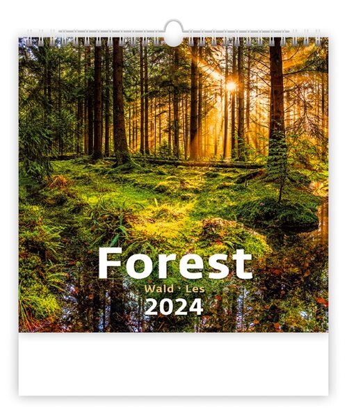 Kalendář nástěnný 2024 - Forest/Wald/Les