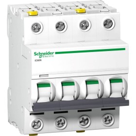 Schneider Electric A9F03425 A9F03425 elektrický jistič 25 A 400 V