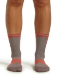 ICEBREAKER Wmns Mer Run+ Ultralight Crew, Porcini/Fervid velikost: 35-37 (S)