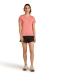 ICEBREAKER Wmns 125 Cool-Lite Speed SS Tee, Acid Pink (vzorek) velikost: S