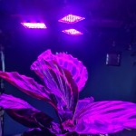 Gardlov 20440 Osvětlení pro pěstování rostlin GROW LIGHT E27, 108 LED 8 W