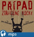 Případ ztracené kočky