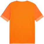Puma teamGoal Matchday Jersey M 705747 08 pánské L