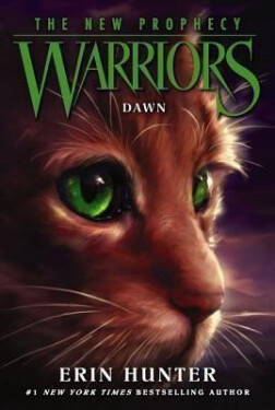 Warriors Power of Three 3: Outcast - Erin Hunter