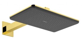 HANSGROHE - Raindance Alive Q Hlavová sprcha, 21x34 cm, 2 proudy, leštěný vzhled zlata 24550990