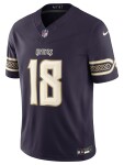 Nike Pánský dres Minnesota Vikings NFL Justin Jefferson #18 2026 Rivalries Stitched Limited Velikost: L
