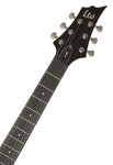 ESP LTD F-10KIT BLK