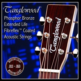 Tanglewood Acoustic Guitar Strings 12 Medium Light