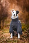 Nelly pláštěnka do deště - nepromokavá kombinéza Barva: Šedá, Délka zad (cm): 25, Obvod hrudníku: 25 - 39 cm
