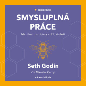 Smysluplná práce - Seth Godin - audiokniha