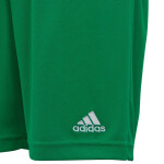 Dětské šortky Entrada 22 Jr IC7410 Adidas