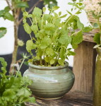 Ib Laursen Keramický obal na květináč Green Low, zelená barva, keramika