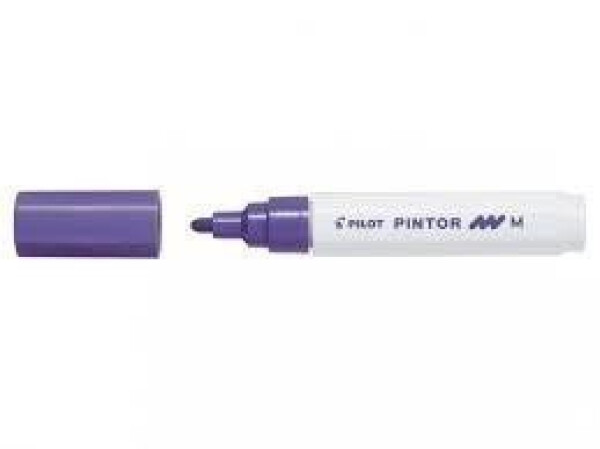 Akrylový popisovač Pilot Pintor, Medium,