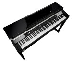 Kurzweil CUP P1 BP