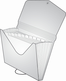 Organizér na dokumenty gumou A4 Opaline čirá-růžová,