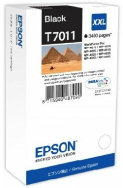 Epson T7011 - originální