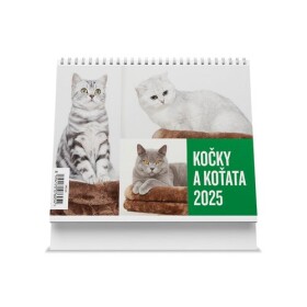 Kočky koťata 2025 stolní kalendář