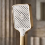 REA - Sprchová hlavice JS-031 BRUSH GOLD REA-03905