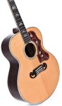 Sigma Guitars GJR-SG300