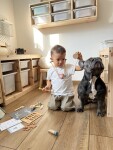 Mamido Dřevěná veterinární sada v kufříku – Malý veterinář