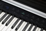 Kurzweil CUP P1 BP