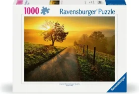 Ravensburger Ráno ve zlatých paprscích