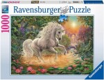 Ravensburger 1000 dílků Mystické nebe