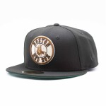 New Era Pánská kšiltovka Boston Red Sox MLB Fenway Park 90th Anniversary 59FIFTY Fitted Velikost: 7 1/8