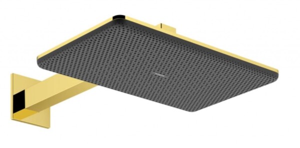 HANSGROHE - Raindance Alive Q Hlavová sprcha, 21x34 cm, 2 proudy, EcoSmart, leštěný vzhled zlata 24551990