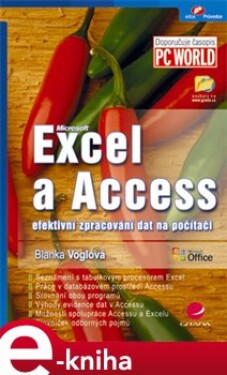 Excel a Access. efektivní zpracování dat na počítači - Blanka Nováková e-kniha