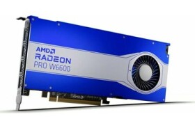 AMD Radeon Pro W6600 8GB GDDR6 100-506159