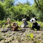 Plyšová zvířata exotická sedící 13 - 15 cm ECO-FRIENDLY