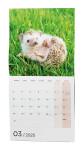 Zvířátka 2025 nástěnný kalendář