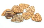 Timber Tones Coconut Palm 4-Pack