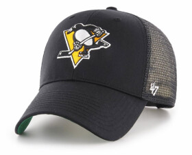 Pittsburgh Penguins