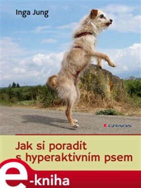 Jak si poradit s hyperaktivním psem - Inga Jung e-kniha