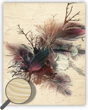 Obraz dřevěný: Feathers, 240 x 300