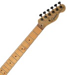 Fender Squier Contemporary Telecaster RH Roasted