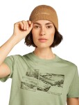 Unisex merino čepice ICEBREAKER All Day Toque Beanie, Trail univerzální