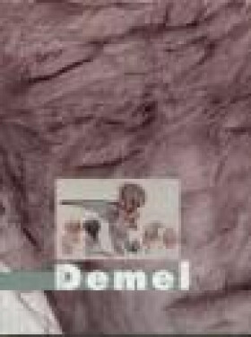 Karel Demel