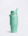 Hydro Flask Wide Mouth Travel Bottle with Flex Straw Cap (710 ml) Mermaid Green