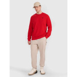 Pánská mikina 4F 4FWMM00TSWSM1767-062S s kapucí bez svetru m