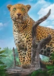 Trefl - Puzzle - Divoký levhart