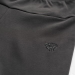 Legíny Iguana Charlton W XL